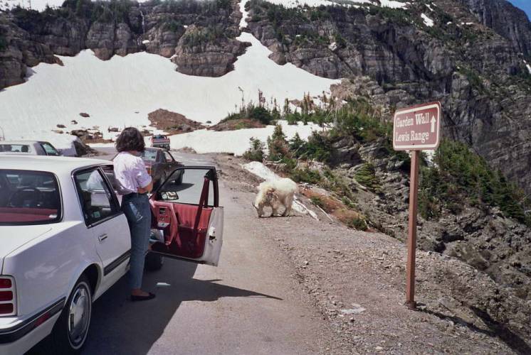 USA_1992-05-31 09-00-00_R08F16